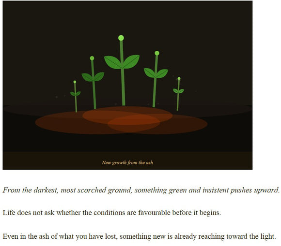 Feature product image